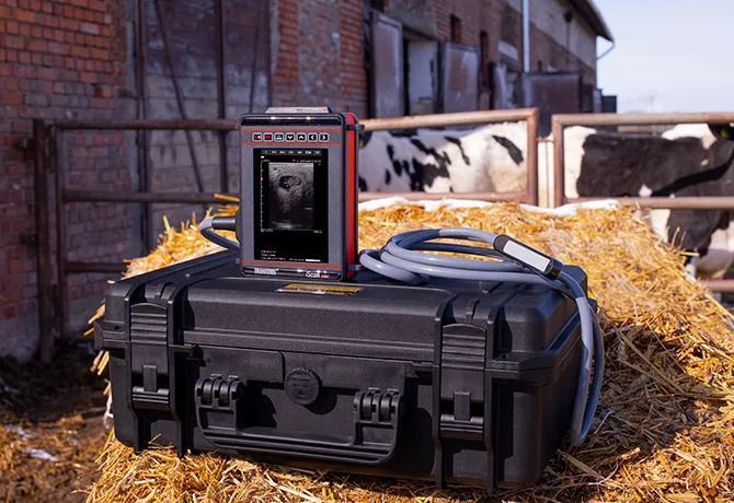 УЗД-сканер DRAMINSKI iScan mini Dra555555555555 - фото