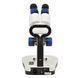 Микроскоп стереоскопический MICROmed SM-6420 20x-40x (МБС-10) MICROmed_sm_6420 - фото 3